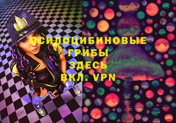 тгк Горно-Алтайск