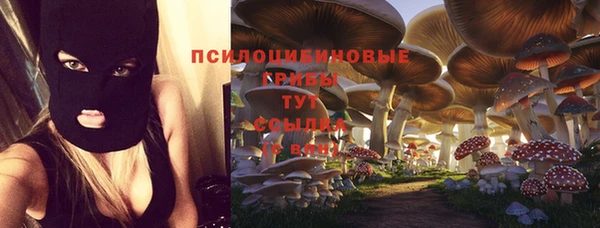 МДПВ Балахна