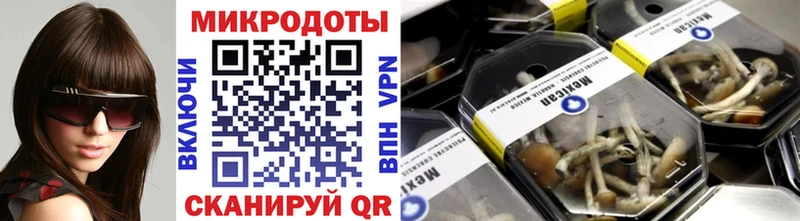 shop Telegram  Шахунья  Галлюциногенные грибы Psilocybe 